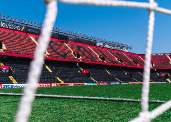 «En pocas palabras»- Ejemplar n° 7