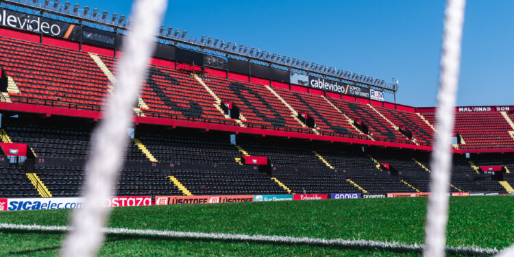 «En pocas palabras»- Ejemplar n° 7