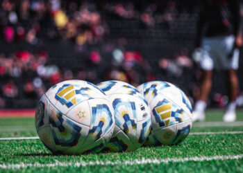 «En pocas palabras» n° 1/2025